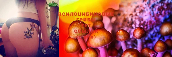 ГАЛЛЮЦИНОГЕННЫЕ ГРИБЫ Арсеньев
