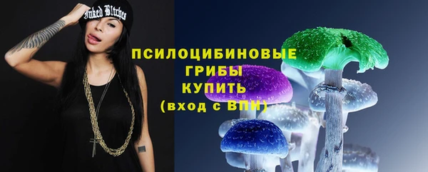 PSILOCYBIN Аркадак