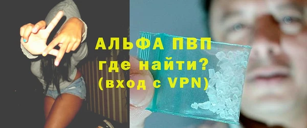 PSILOCYBIN Аркадак