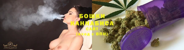 PSILOCYBIN Аркадак