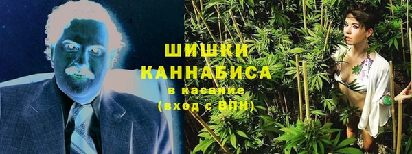 PSILOCYBIN Армянск