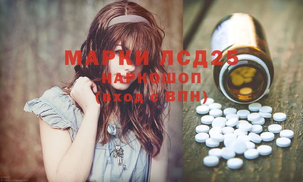 крисы Новокубанск
