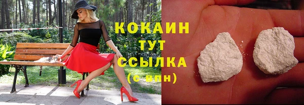 ГАЛЛЮЦИНОГЕННЫЕ ГРИБЫ Арсеньев