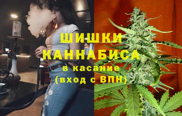 PSILOCYBIN Армянск